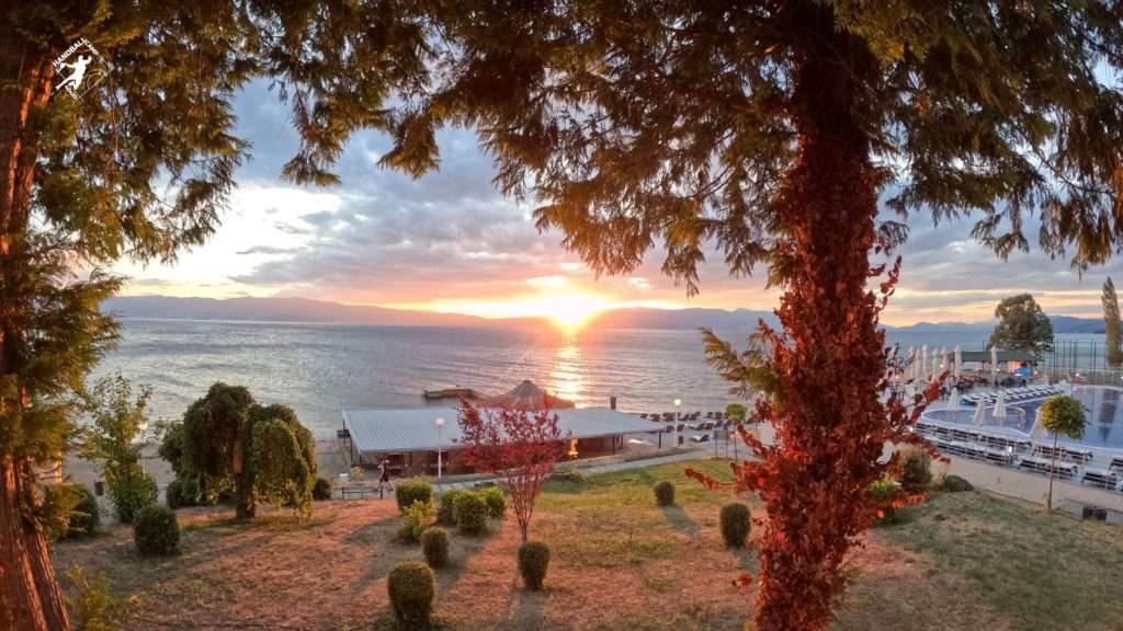 PROGRAM AND TRAINING PLAN OF THE CAMP | Ракомет за секое дете 2 12 | Ракомет за секое дете